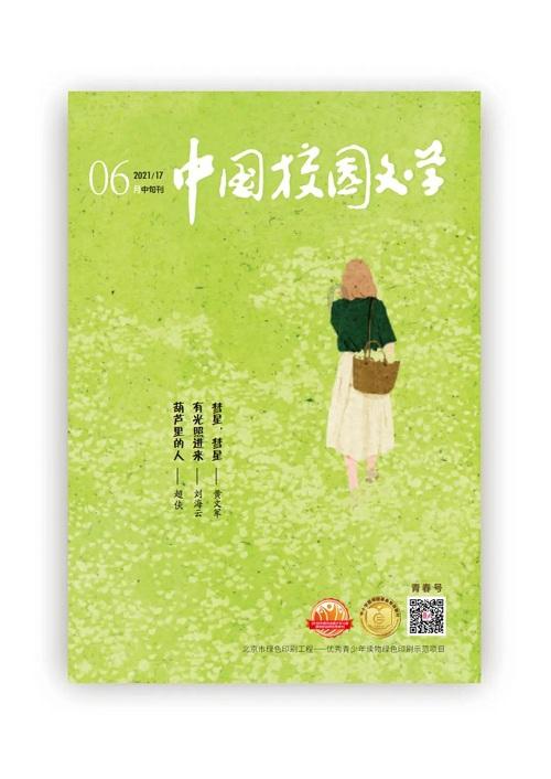 山西省人大代表张宏亮:创新传承 助力乡村振兴
