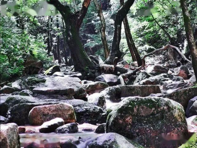 黑龙江森林可持续经营试点现场会在伊春森工召开