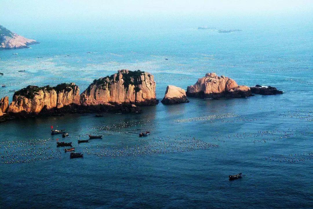 综艺鲜察 |《花少5》这场翻身仗,给旅游综N代「续了命」