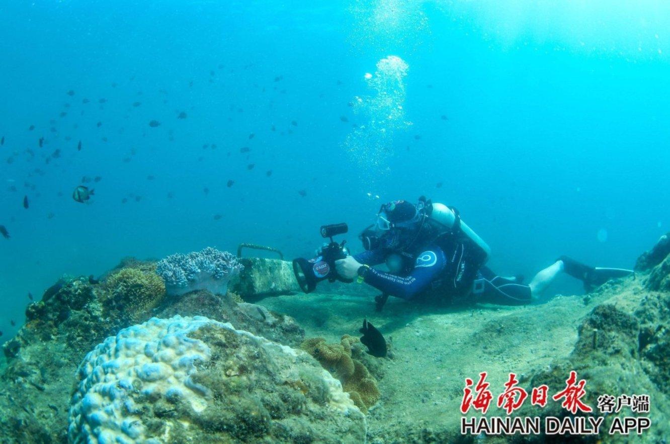 求生指南2